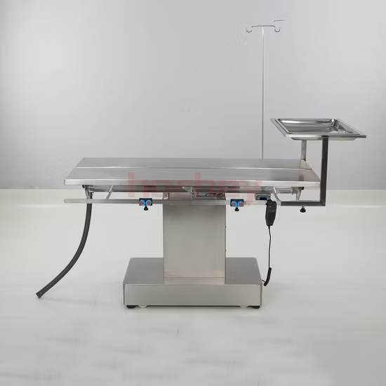 Pet B Acero Inoxidable Quirúrgico Veterinario